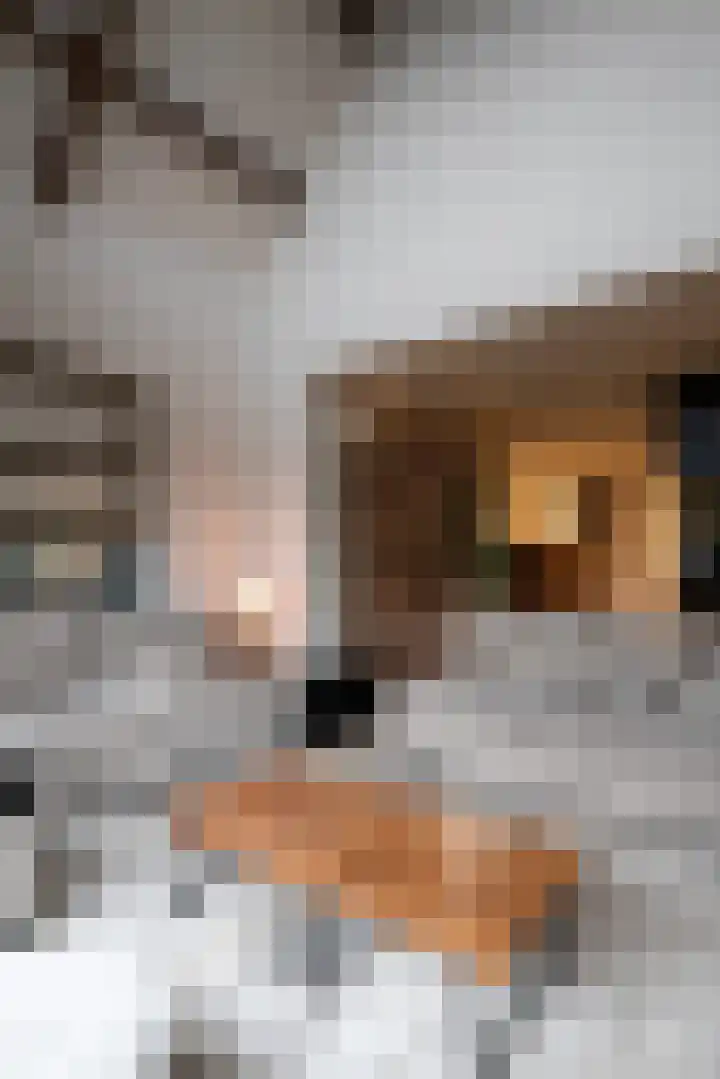 Oude Reekstraat 3 Beuningen Gld thumbnail 7