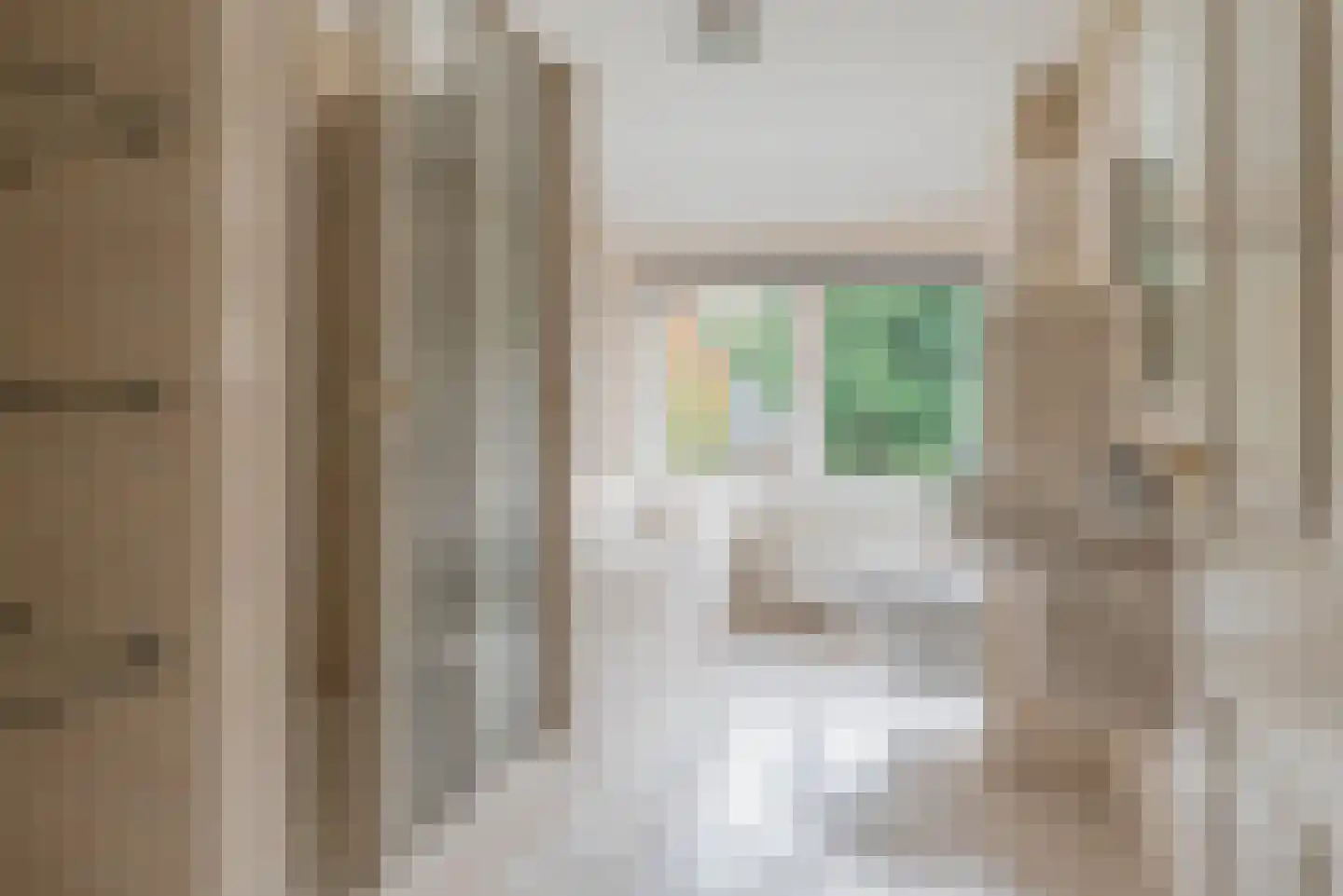 Oude Renbaan 18 Blaricum thumbnail 18