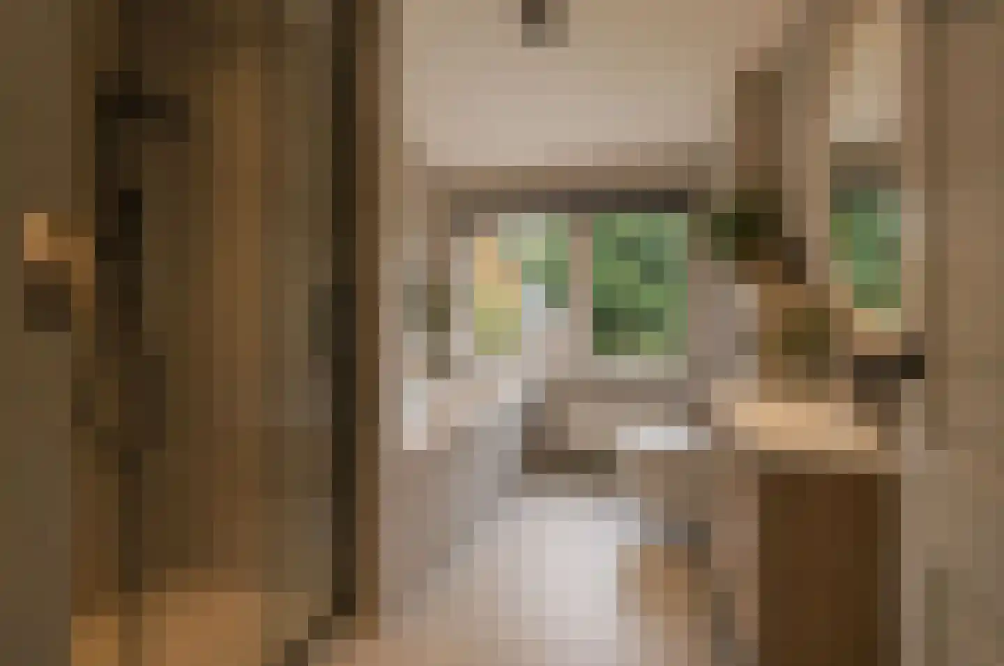 Oude Renbaan 18 Blaricum thumbnail 20