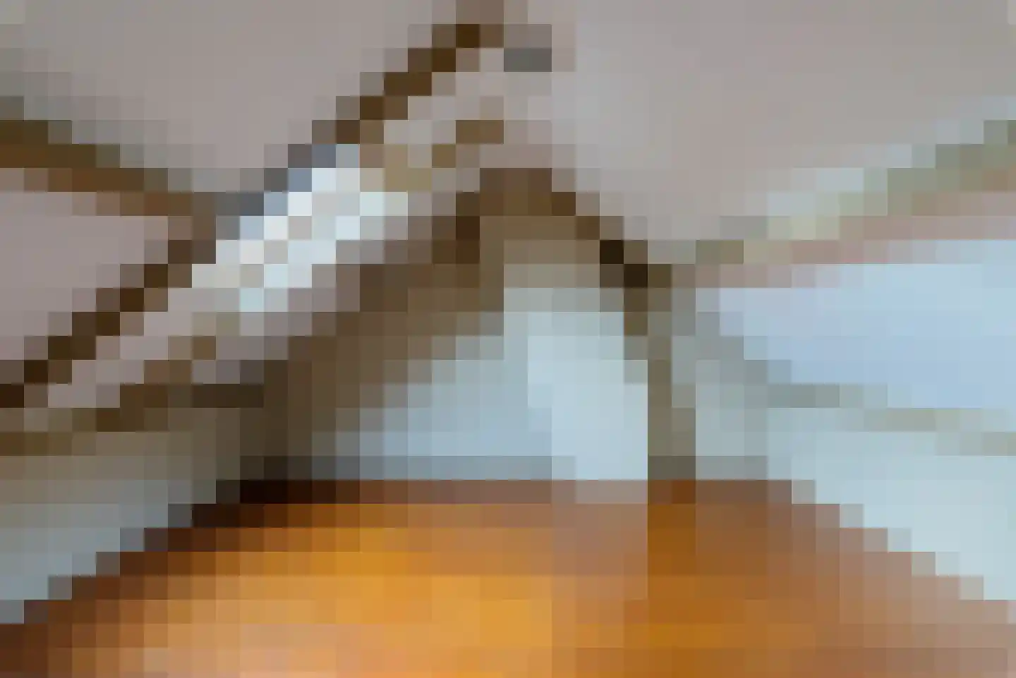 Oude Renbaan 18 Blaricum thumbnail 22