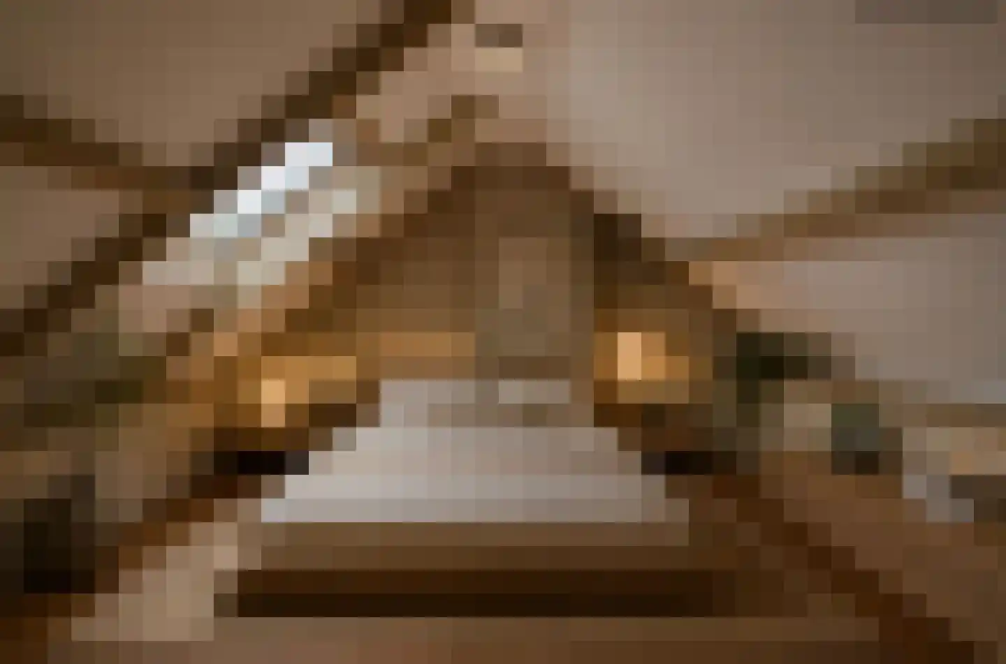 Oude Renbaan 18 Blaricum thumbnail 23