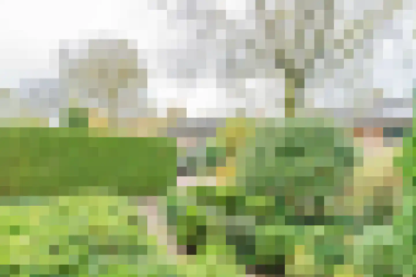 Oude Renbaan 18 Blaricum thumbnail 25