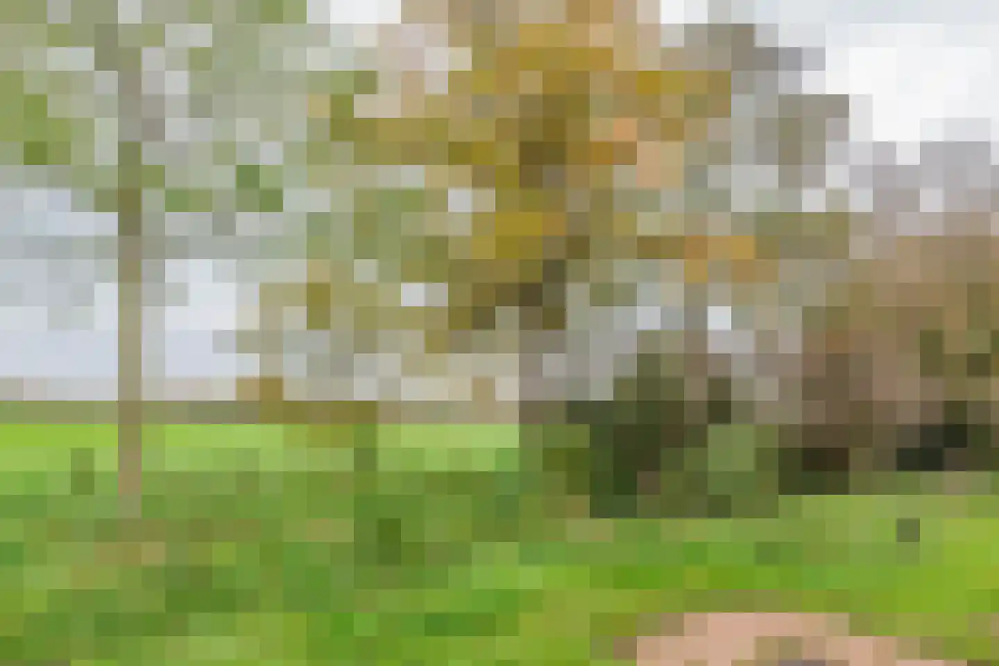 Oude Renbaan 18 Blaricum thumbnail 28