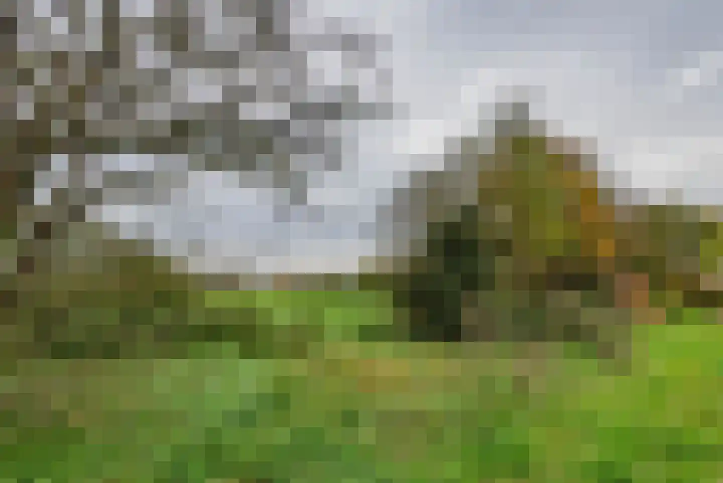 Oude Renbaan 18 Blaricum thumbnail 30