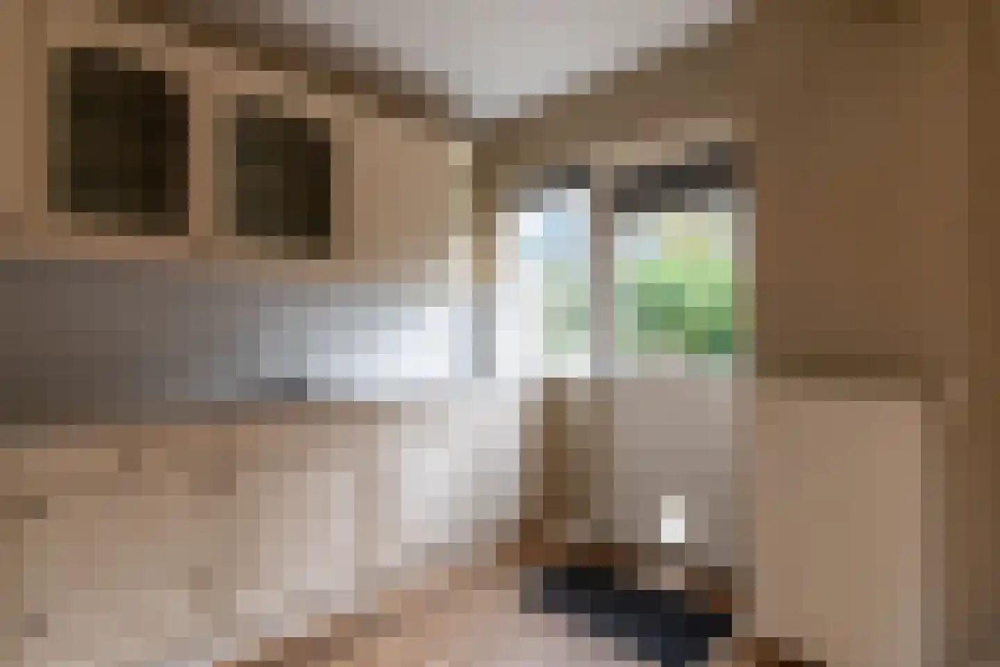 Oude Renbaan 18 Blaricum thumbnail 9