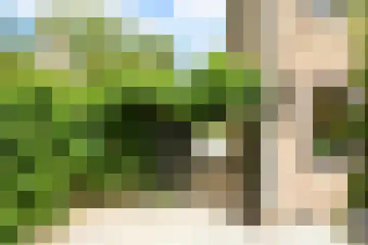 Oude Renbaan 23 Blaricum thumbnail 21