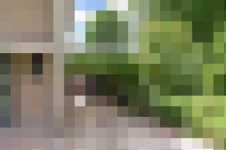 Oude Renbaan 23 Blaricum thumbnail 22