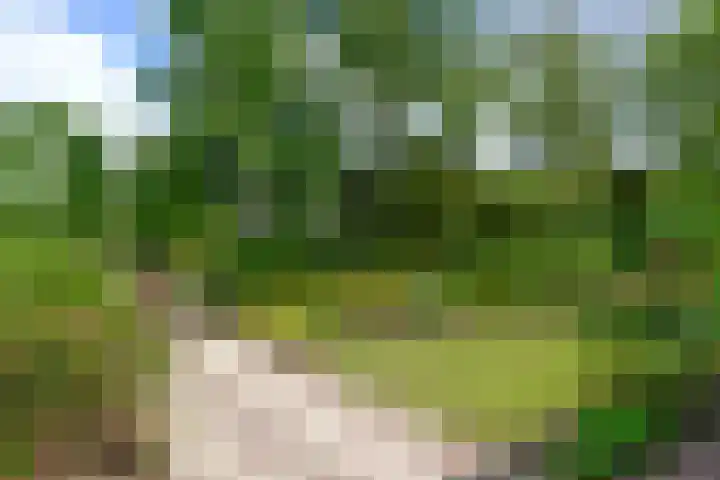 Oude Renbaan 23 Blaricum thumbnail 23