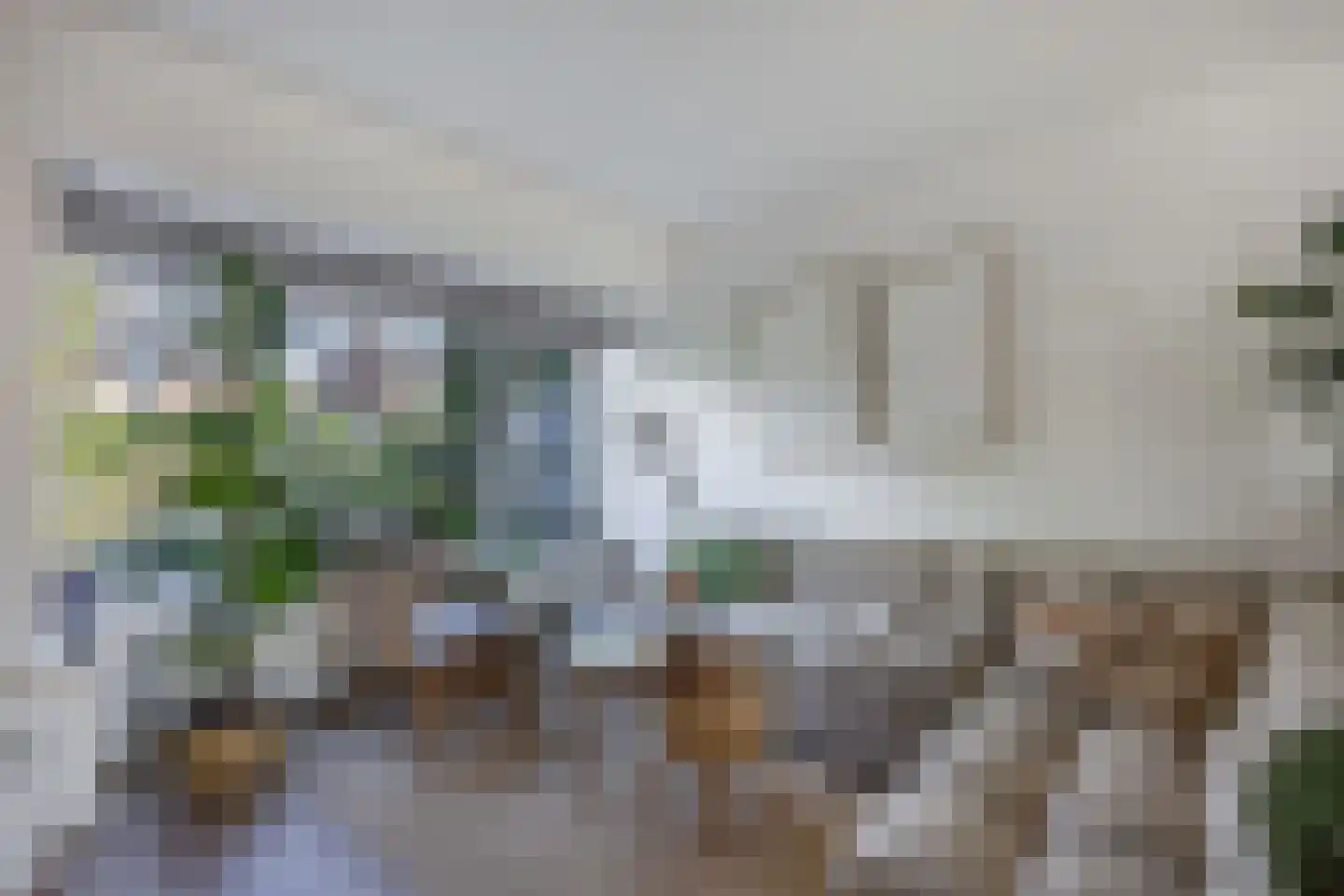 Oude Renbaan 9 Blaricum thumbnail 12