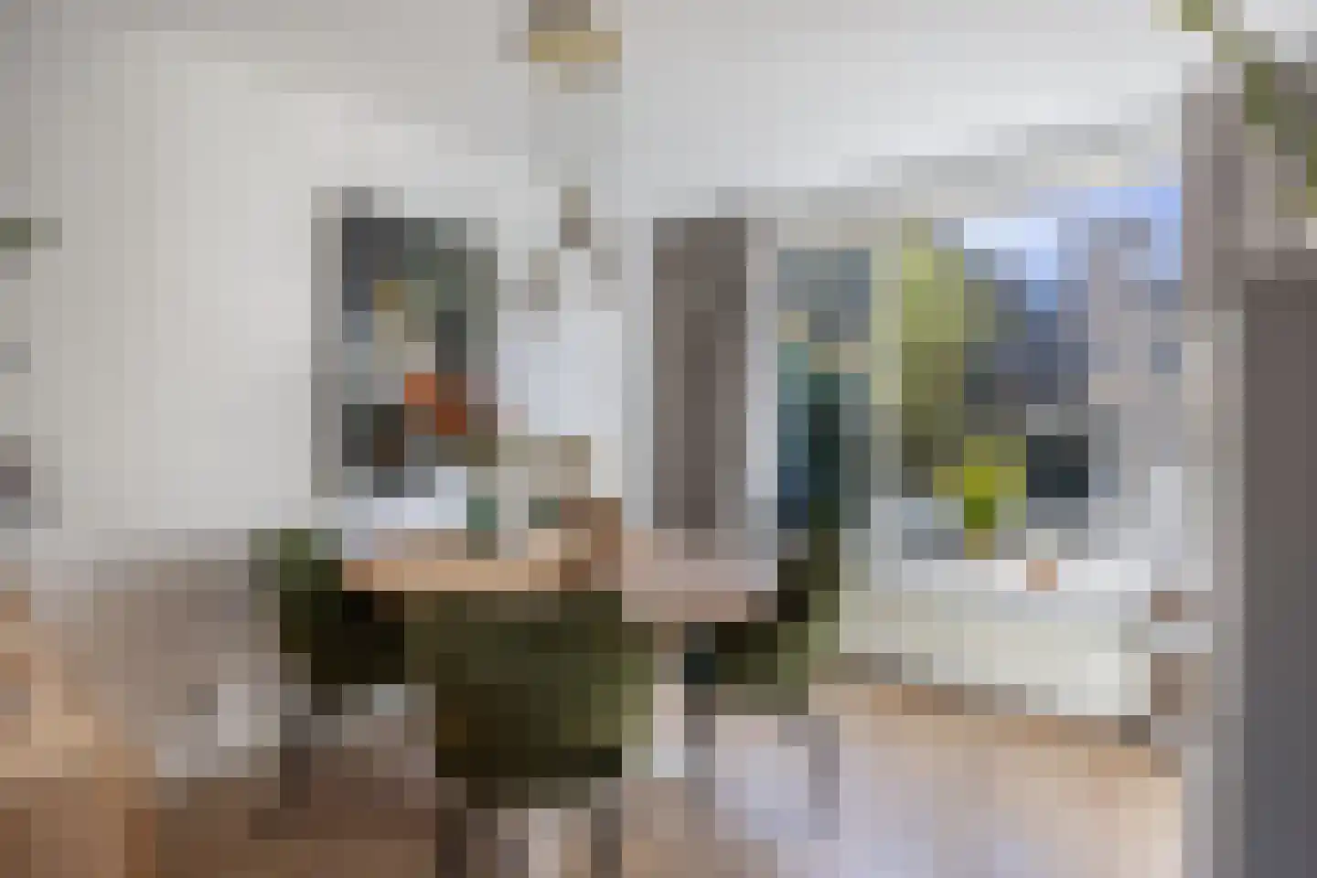 Oude Renbaan 9 Blaricum thumbnail 15