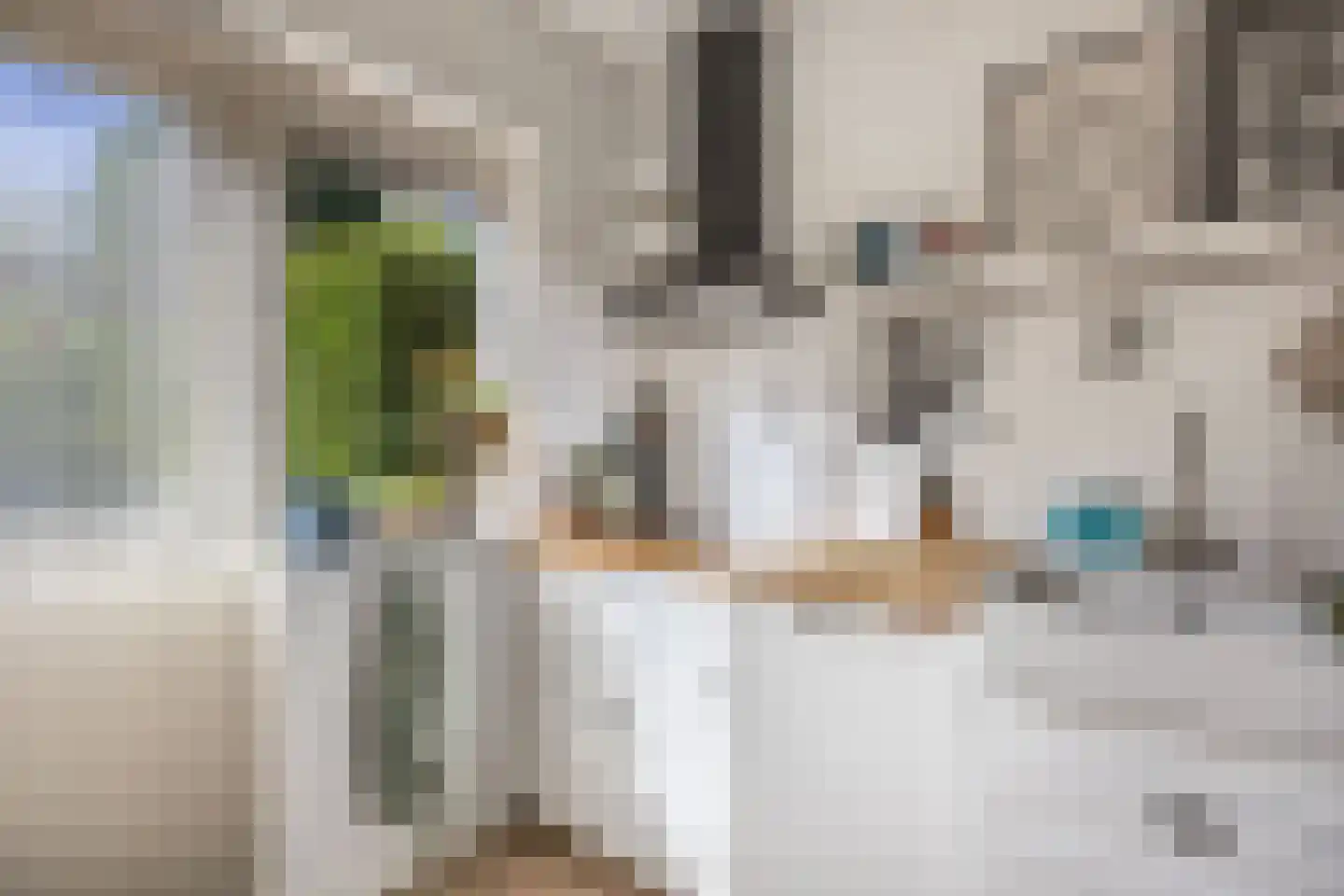 Oude Renbaan 9 Blaricum thumbnail 19