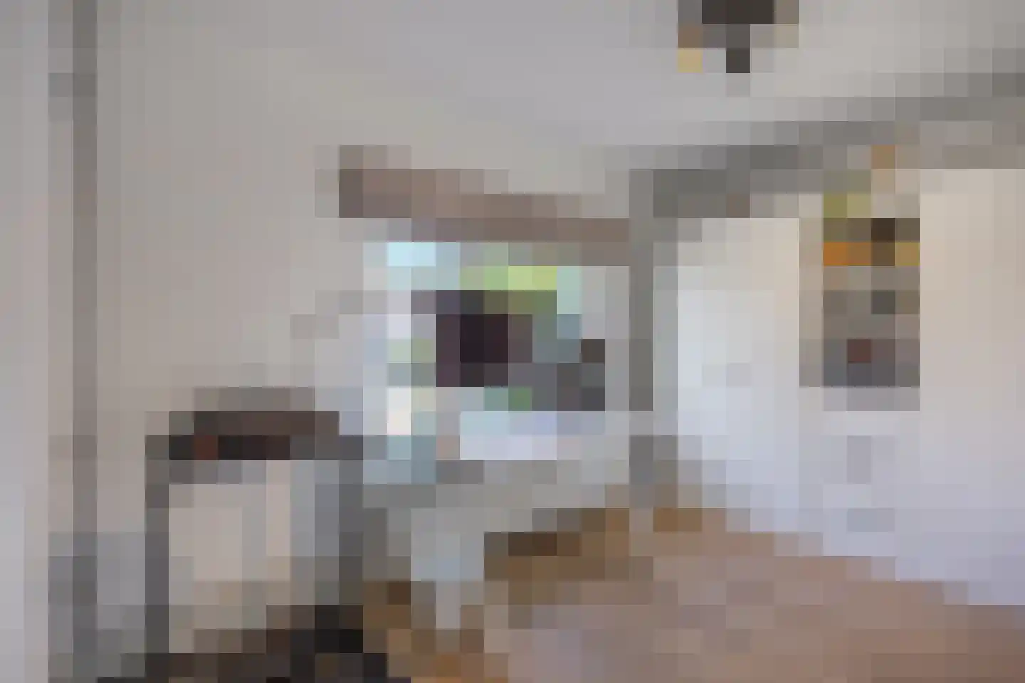 Oude Renbaan 9 Blaricum thumbnail 27