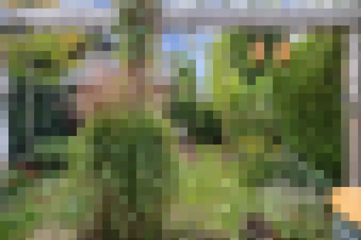 Oude Renbaan 9 Blaricum thumbnail 35