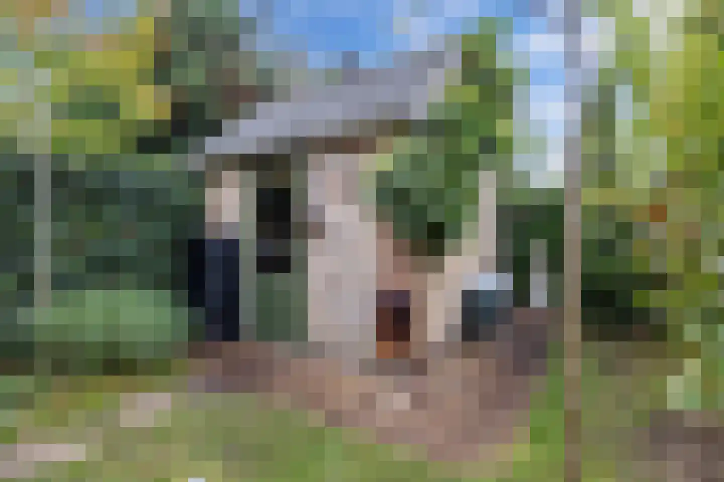 Oude Renbaan 9 Blaricum thumbnail 36