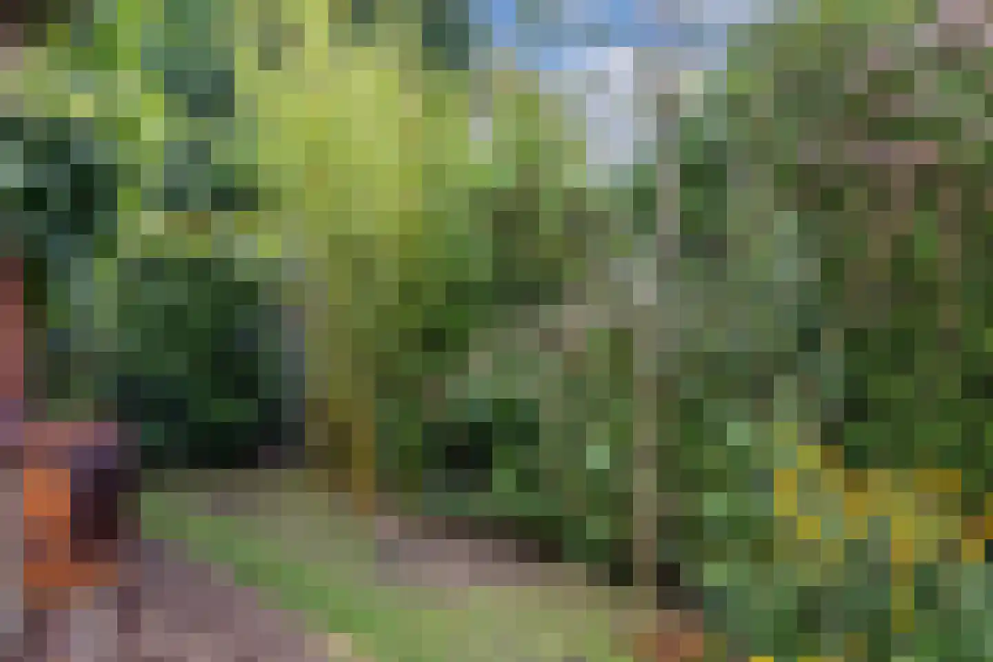 Oude Renbaan 9 Blaricum thumbnail 37