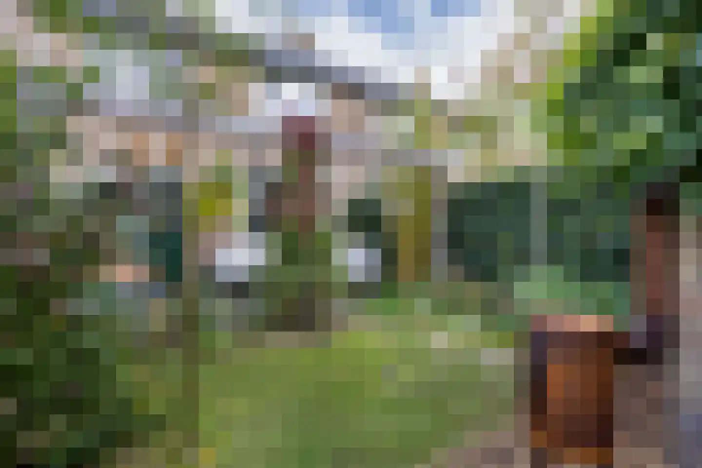 Oude Renbaan 9 Blaricum thumbnail 39