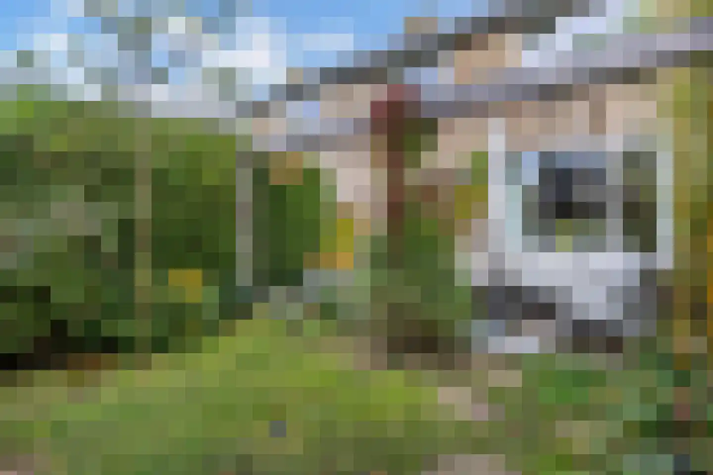 Oude Renbaan 9 Blaricum thumbnail 40