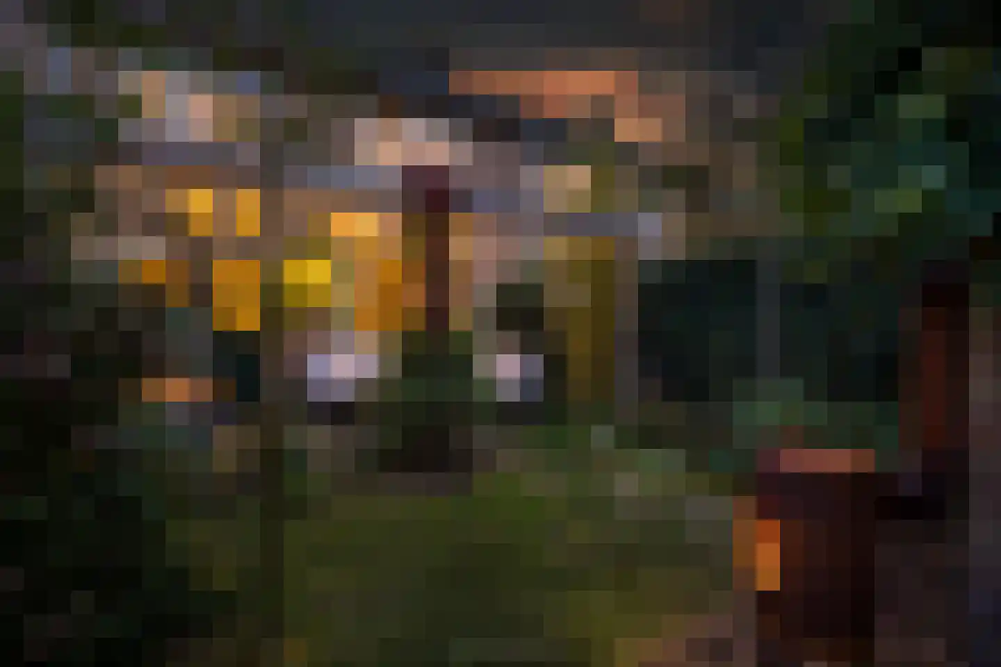 Oude Renbaan 9 Blaricum thumbnail 44