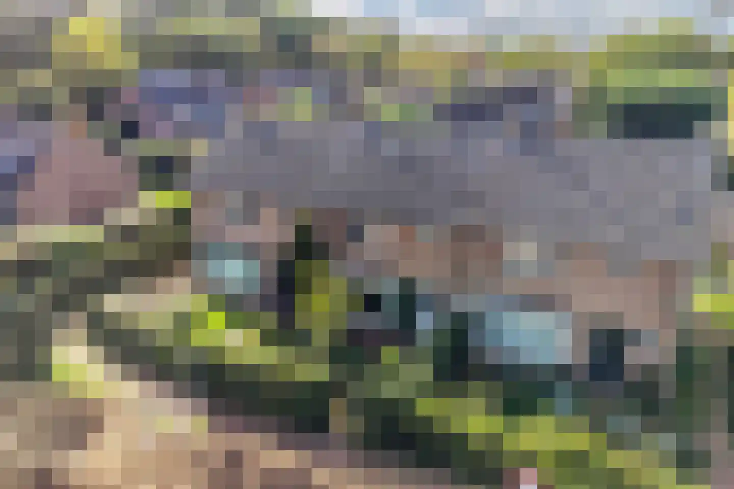 Oude Renbaan 9 Blaricum thumbnail 5