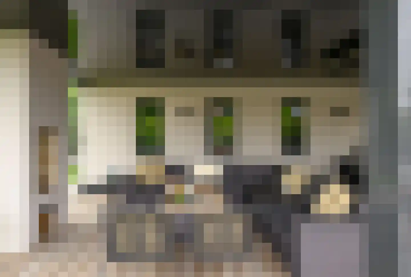 Oude Rhijnhofweg 8 Oegstgeest thumbnail 18