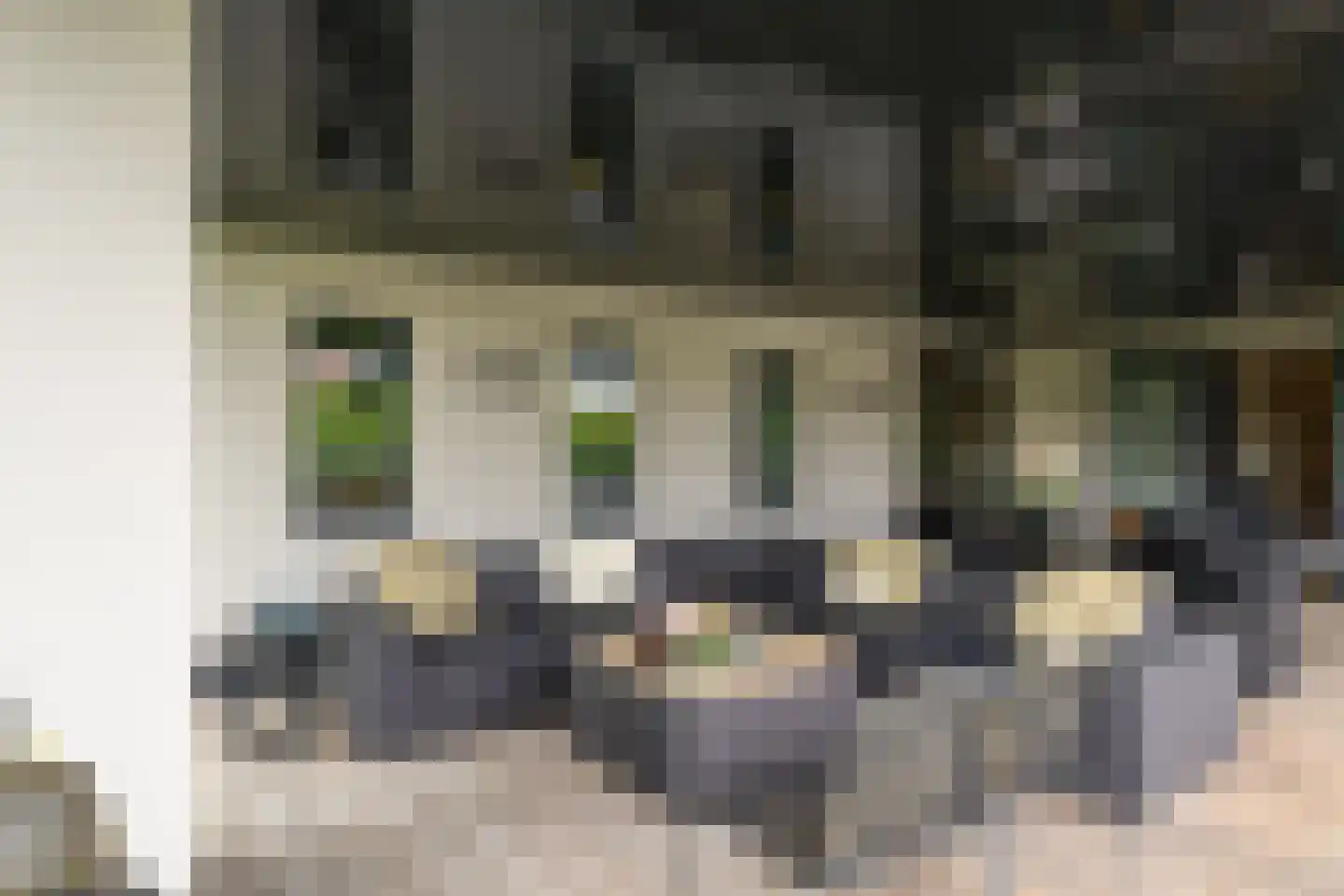 Oude Rhijnhofweg 8 Oegstgeest thumbnail 19