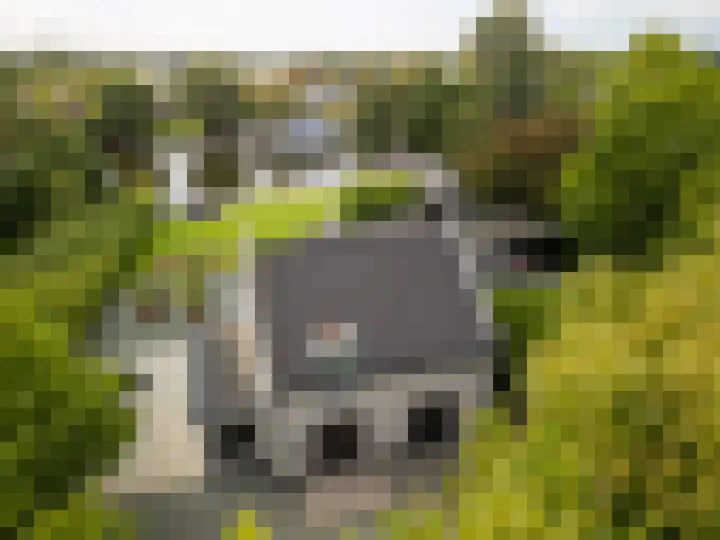 Oude Rhijnhofweg 8 Oegstgeest foto 2