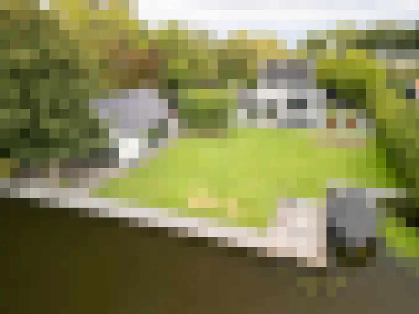 Oude Rhijnhofweg 8 Oegstgeest foto 3