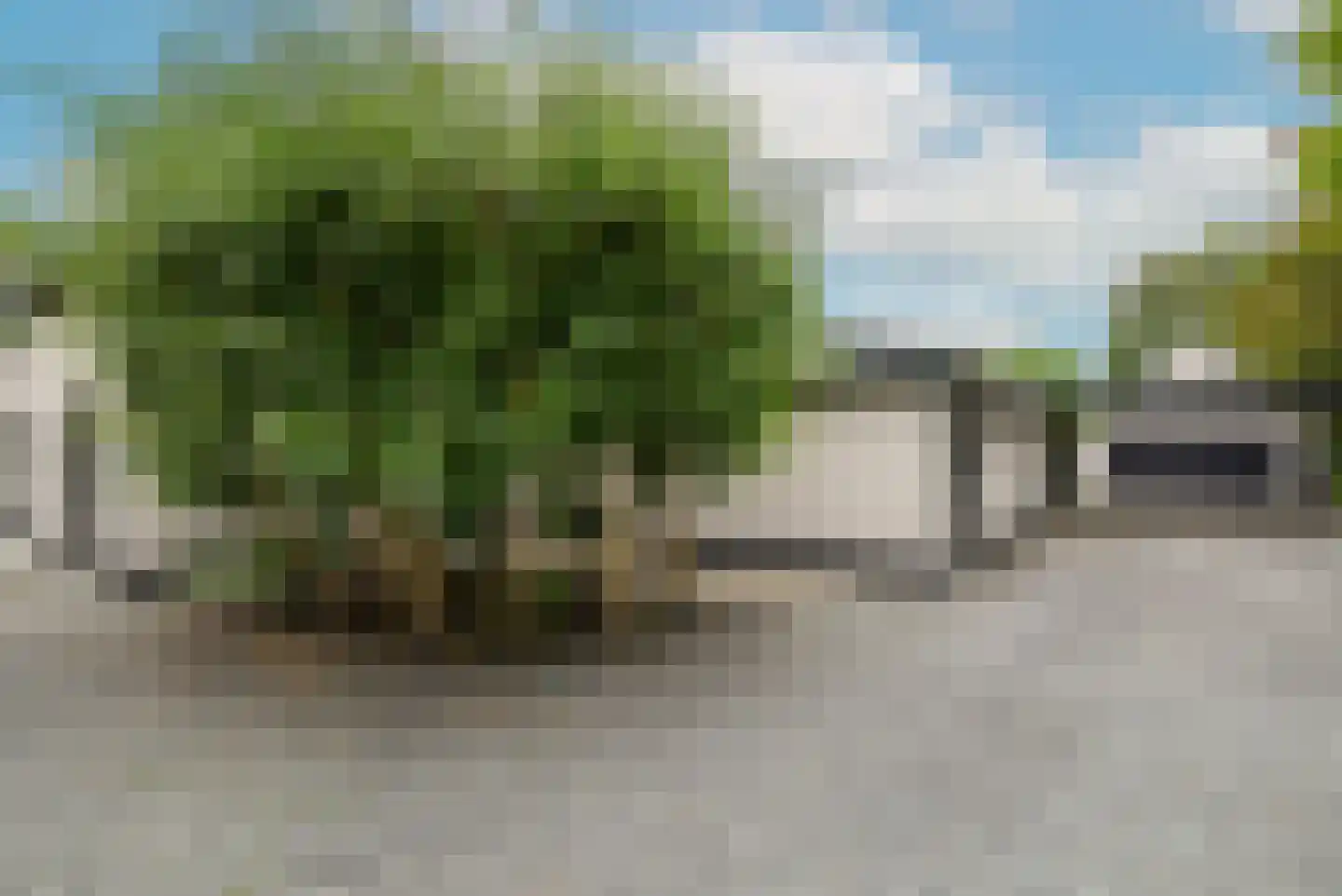 Oude Rhijnhofweg 8 Oegstgeest thumbnail 34