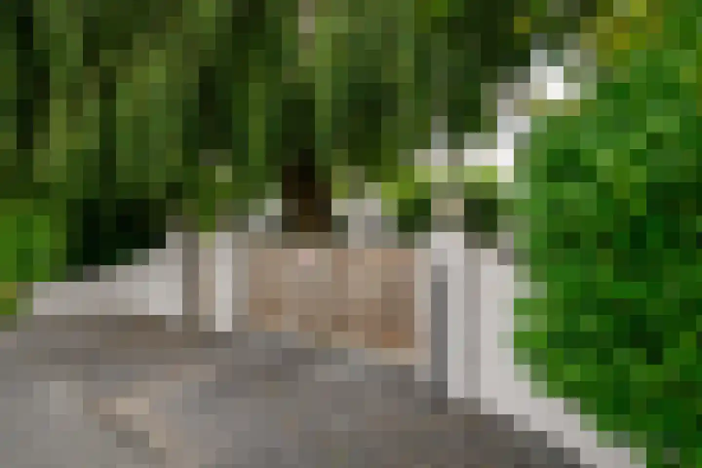 Oude Rhijnhofweg 8 Oegstgeest thumbnail 4