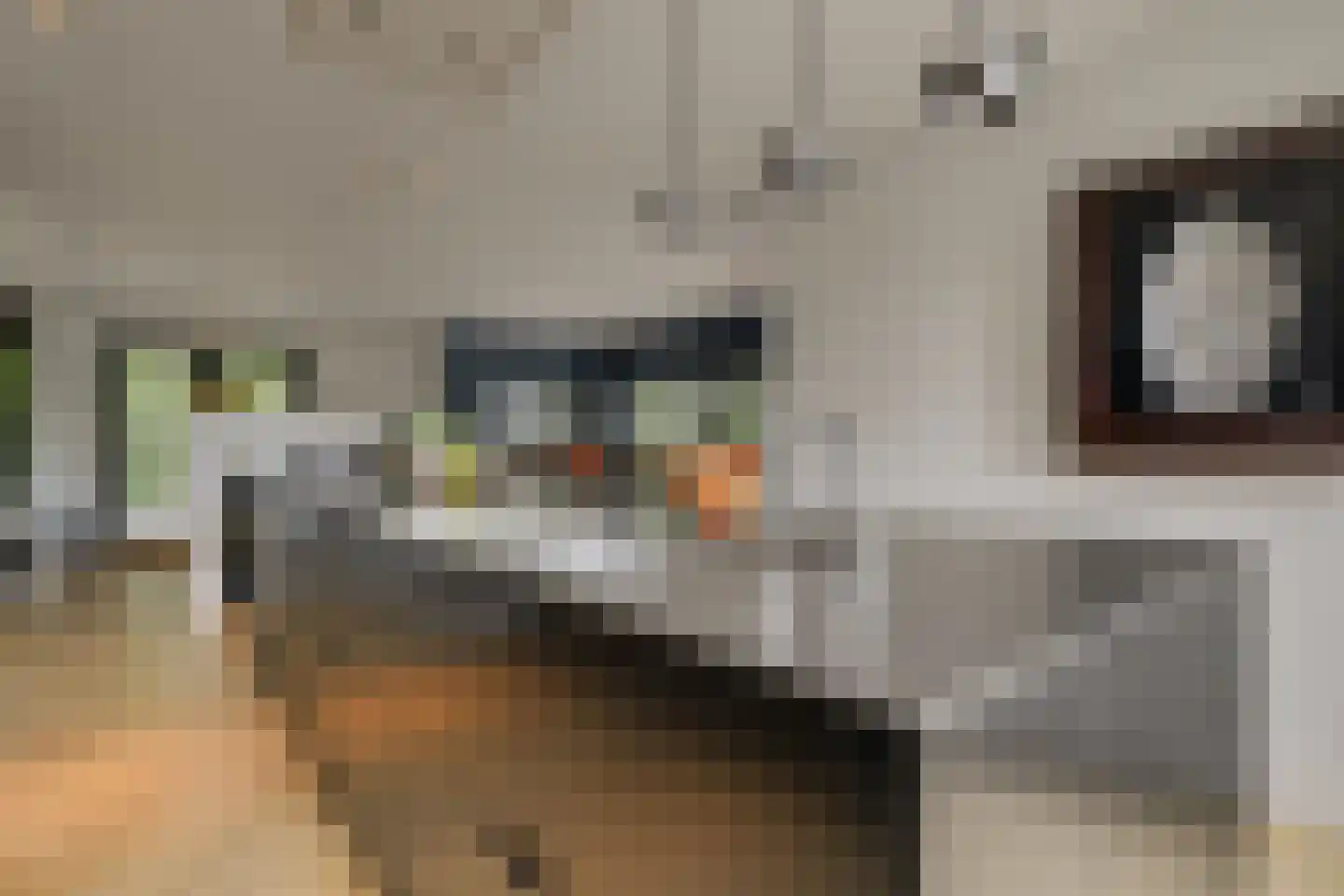 Oude Rhijnhofweg 8 Oegstgeest thumbnail 47