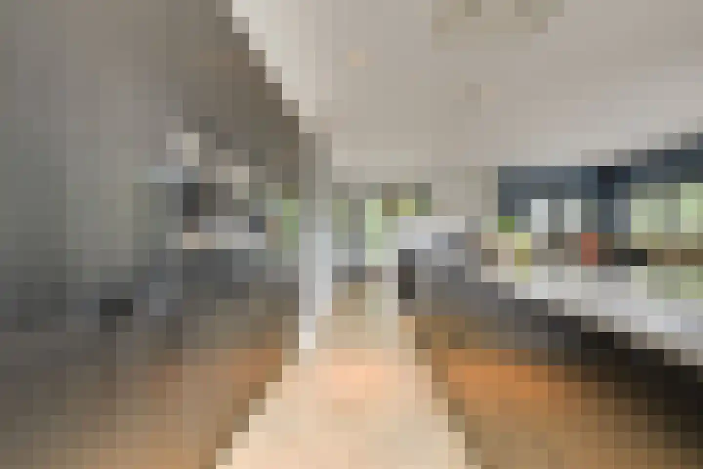 Oude Rhijnhofweg 8 Oegstgeest thumbnail 48