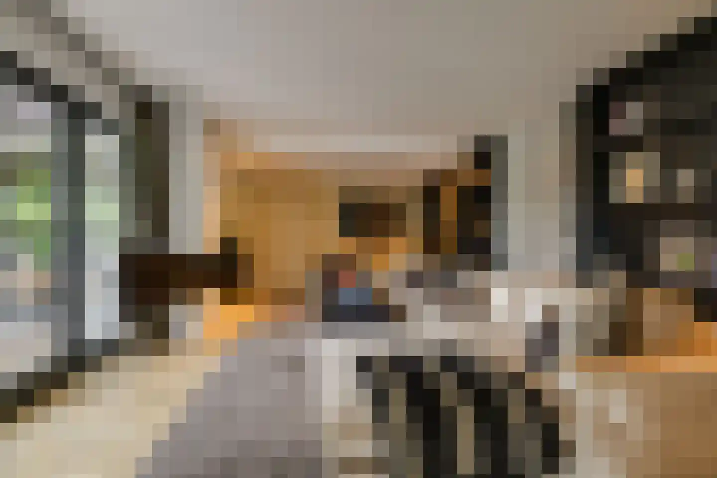 Oude Rhijnhofweg 8 Oegstgeest thumbnail 49