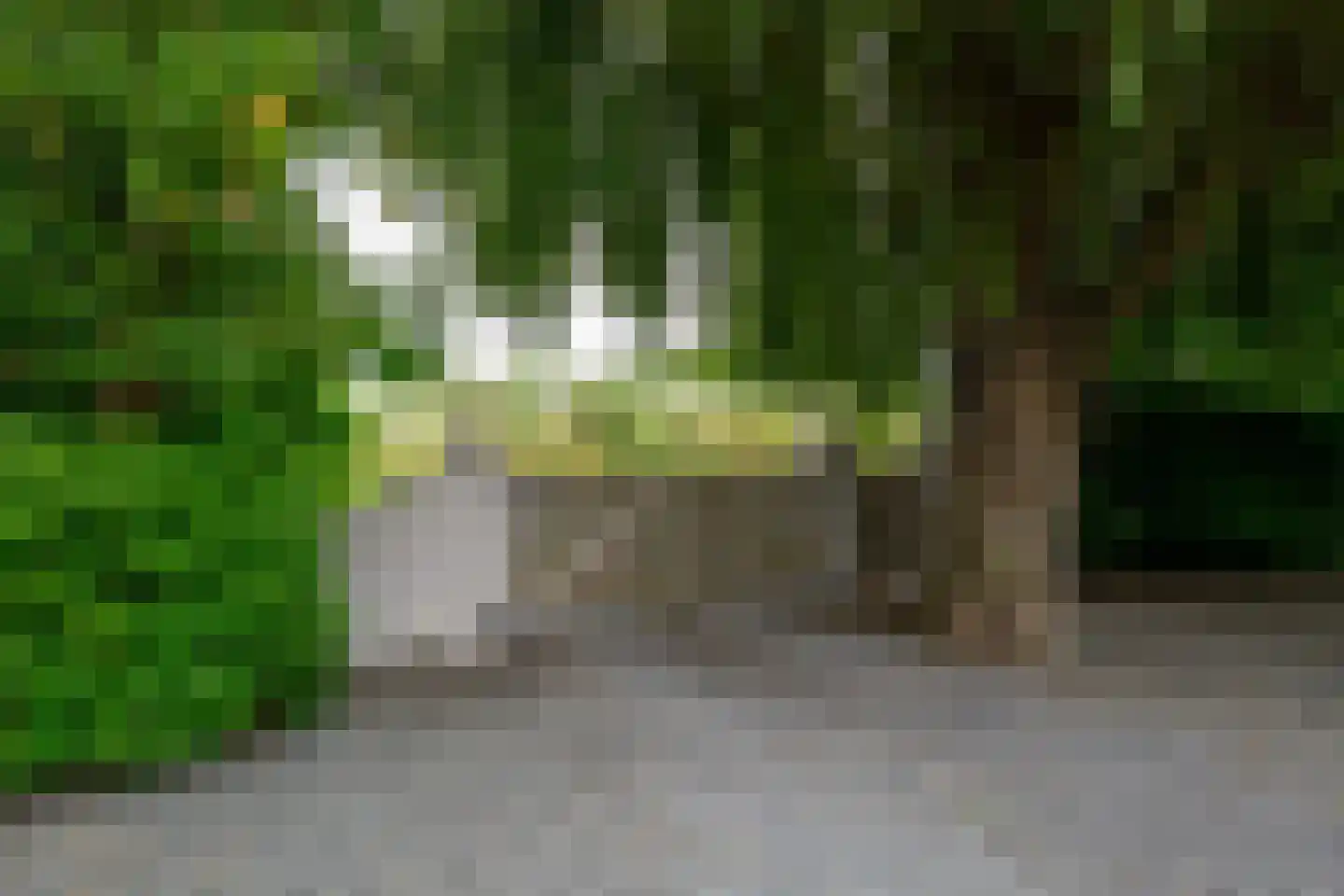 Oude Rhijnhofweg 8 Oegstgeest thumbnail 5