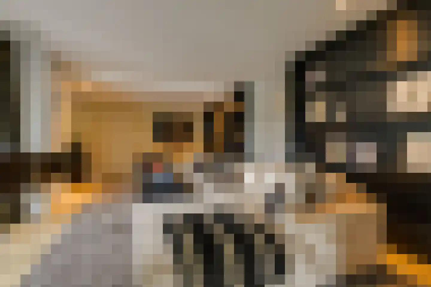 Oude Rhijnhofweg 8 Oegstgeest thumbnail 50