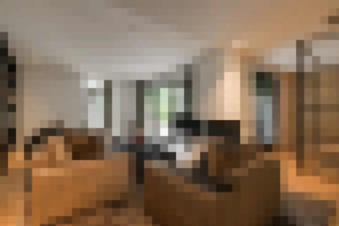 Oude Rhijnhofweg 8 Oegstgeest thumbnail 51