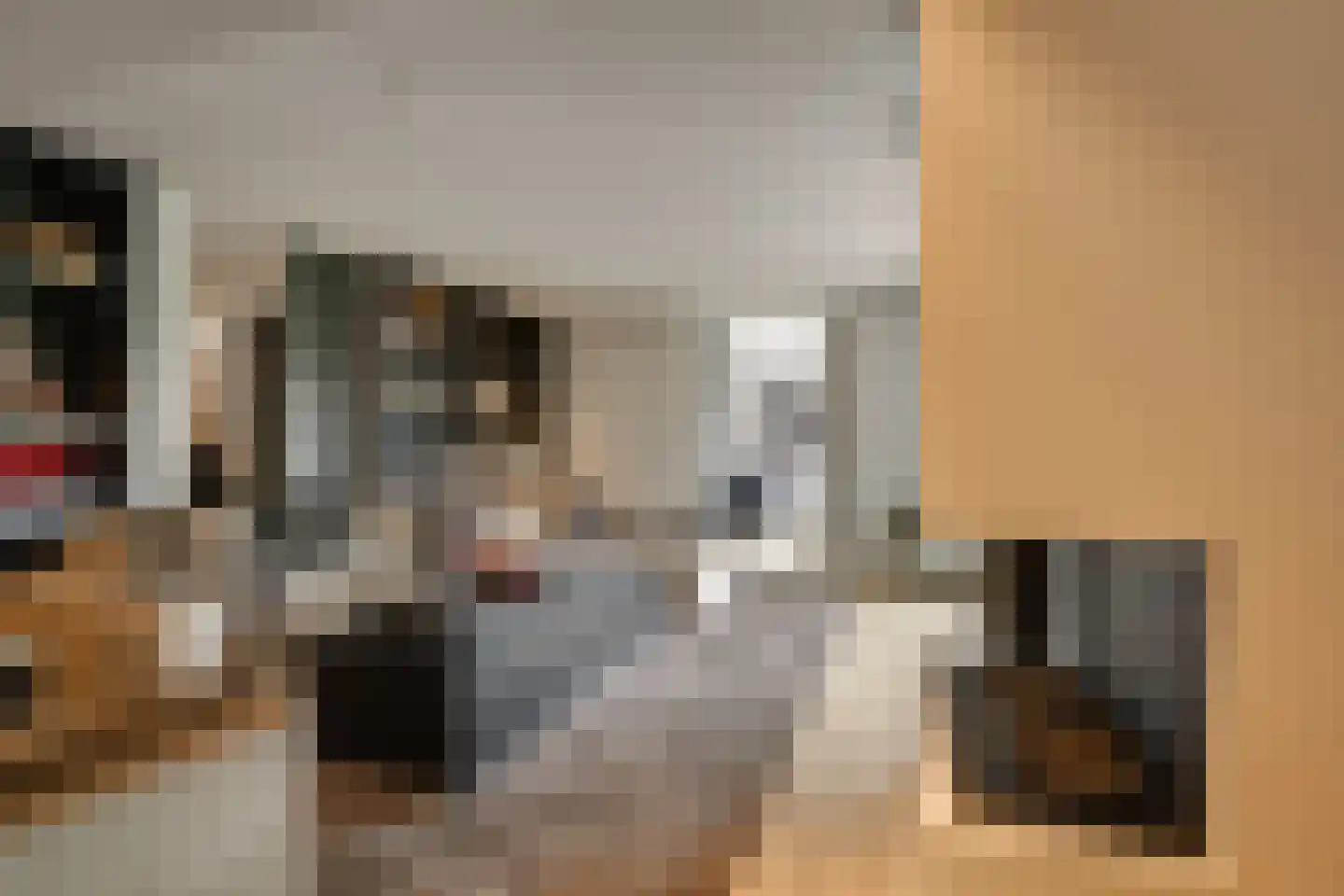 Oude Rhijnhofweg 8 Oegstgeest thumbnail 53