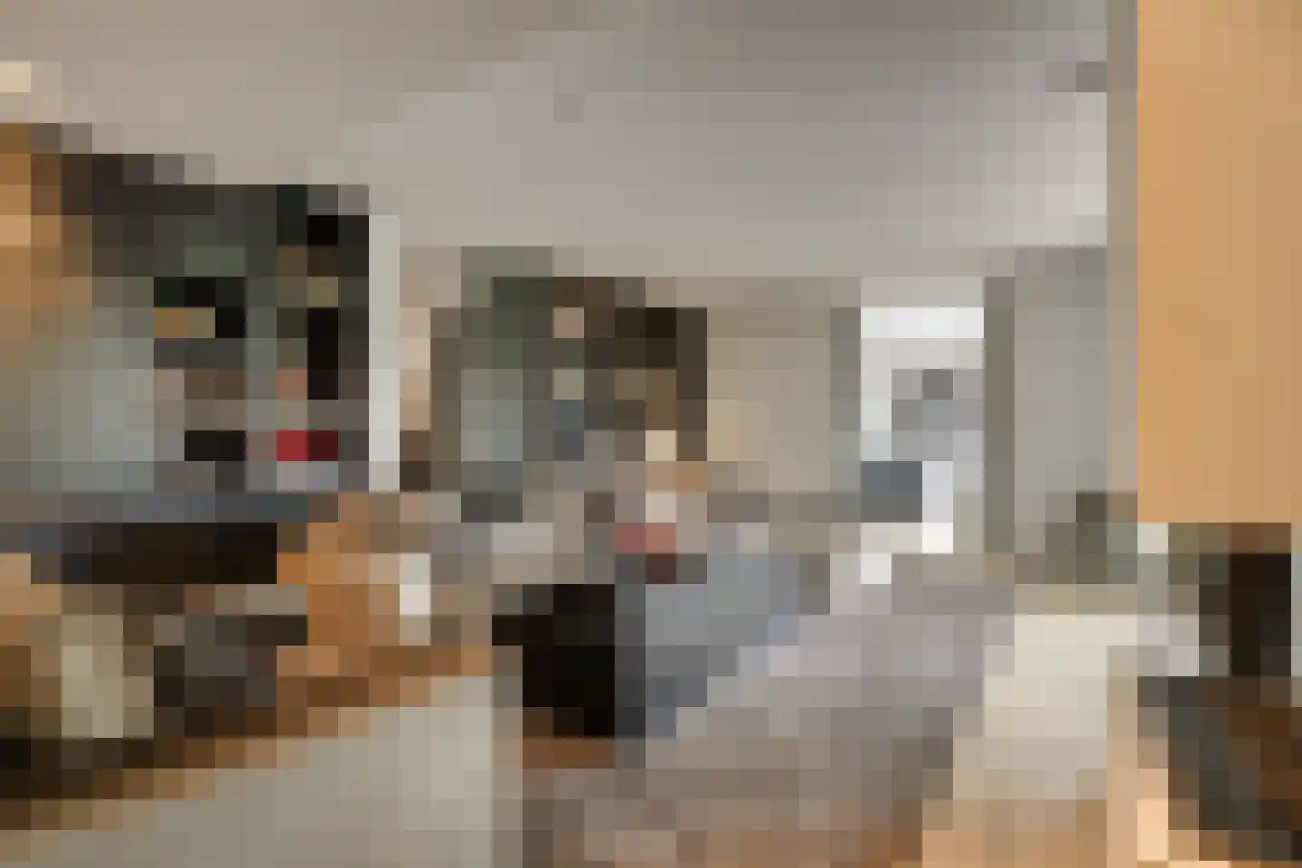 Oude Rhijnhofweg 8 Oegstgeest thumbnail 54