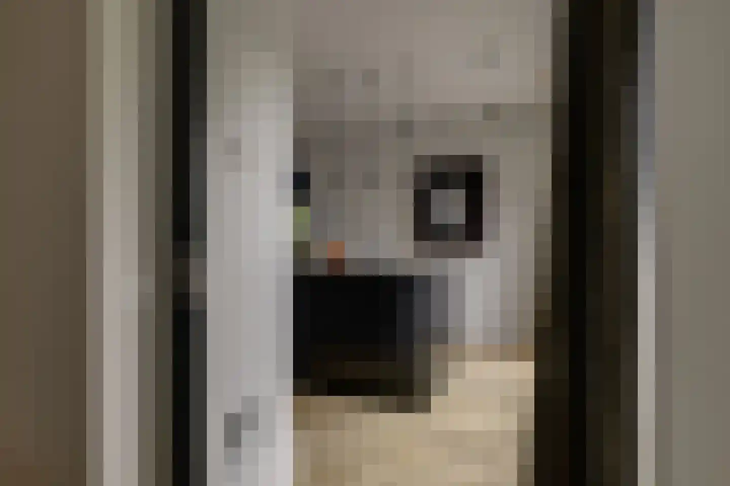 Oude Rhijnhofweg 8 Oegstgeest thumbnail 56