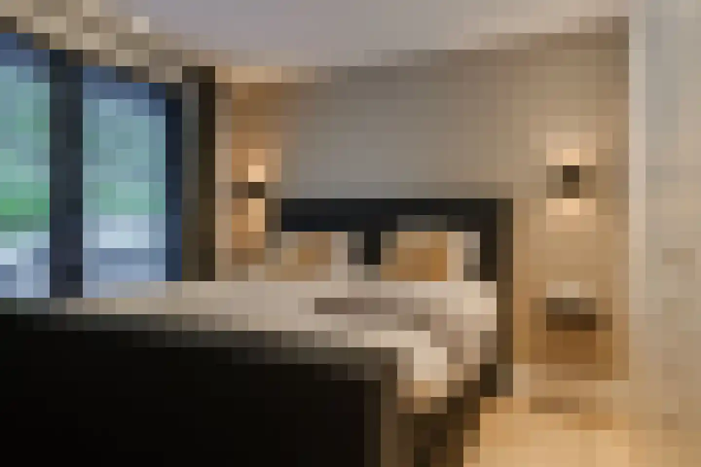 Oude Rhijnhofweg 8 Oegstgeest thumbnail 58