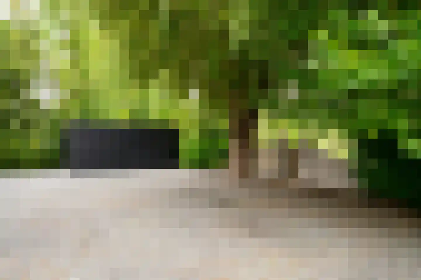 Oude Rhijnhofweg 8 Oegstgeest thumbnail 6