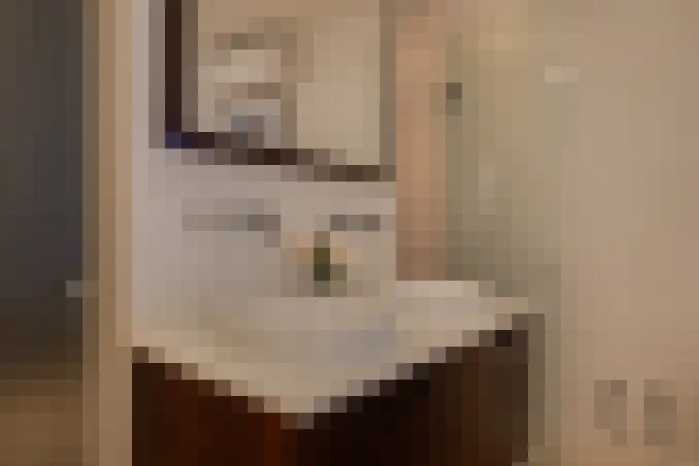 Oude Rhijnhofweg 8 Oegstgeest thumbnail 60