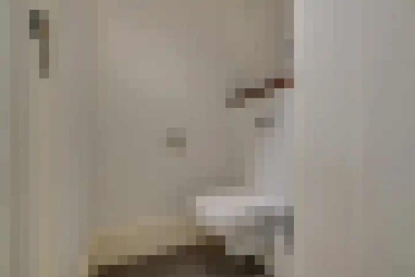 Oude Rhijnhofweg 8 Oegstgeest thumbnail 63