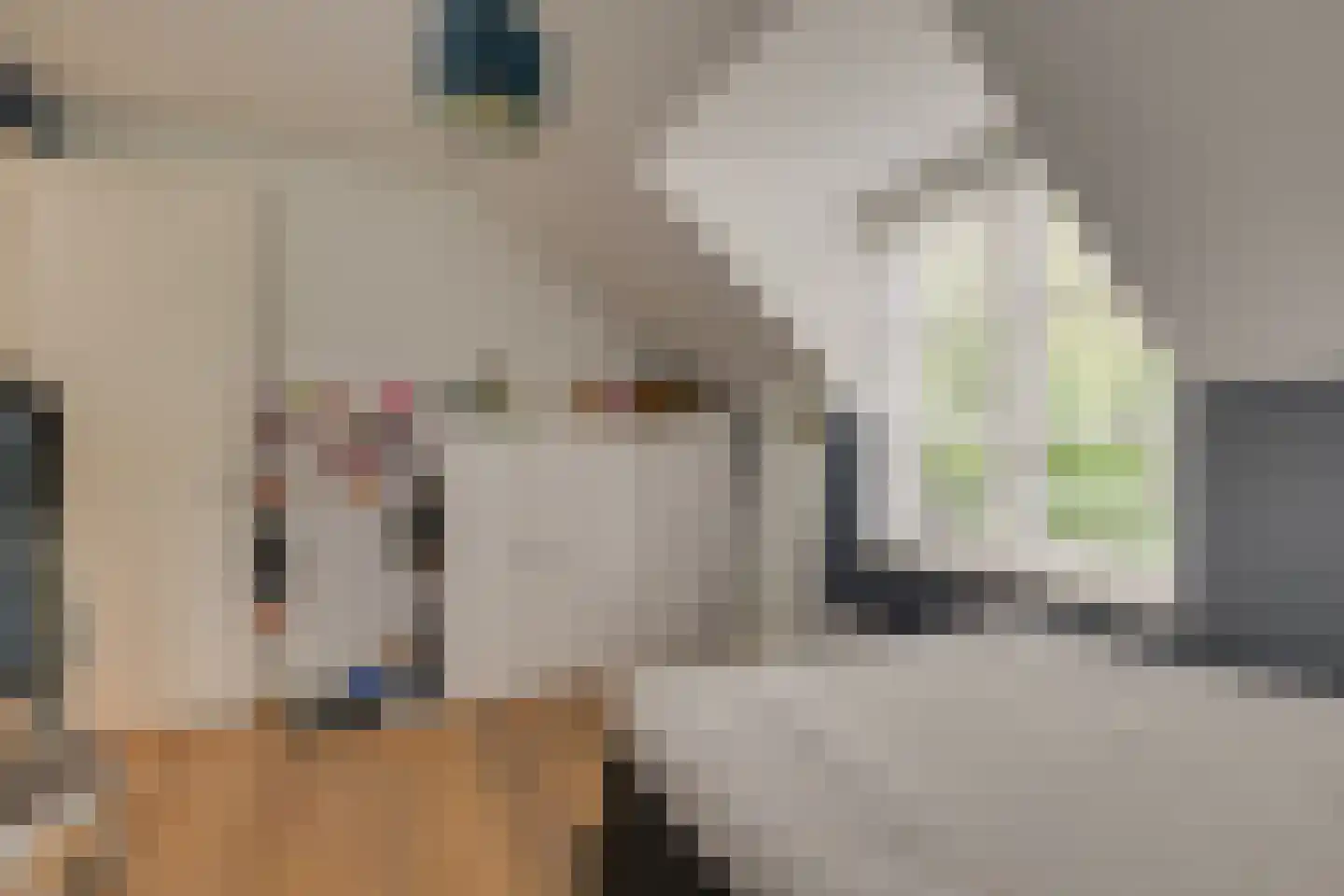 Oude Rhijnhofweg 8 Oegstgeest thumbnail 68