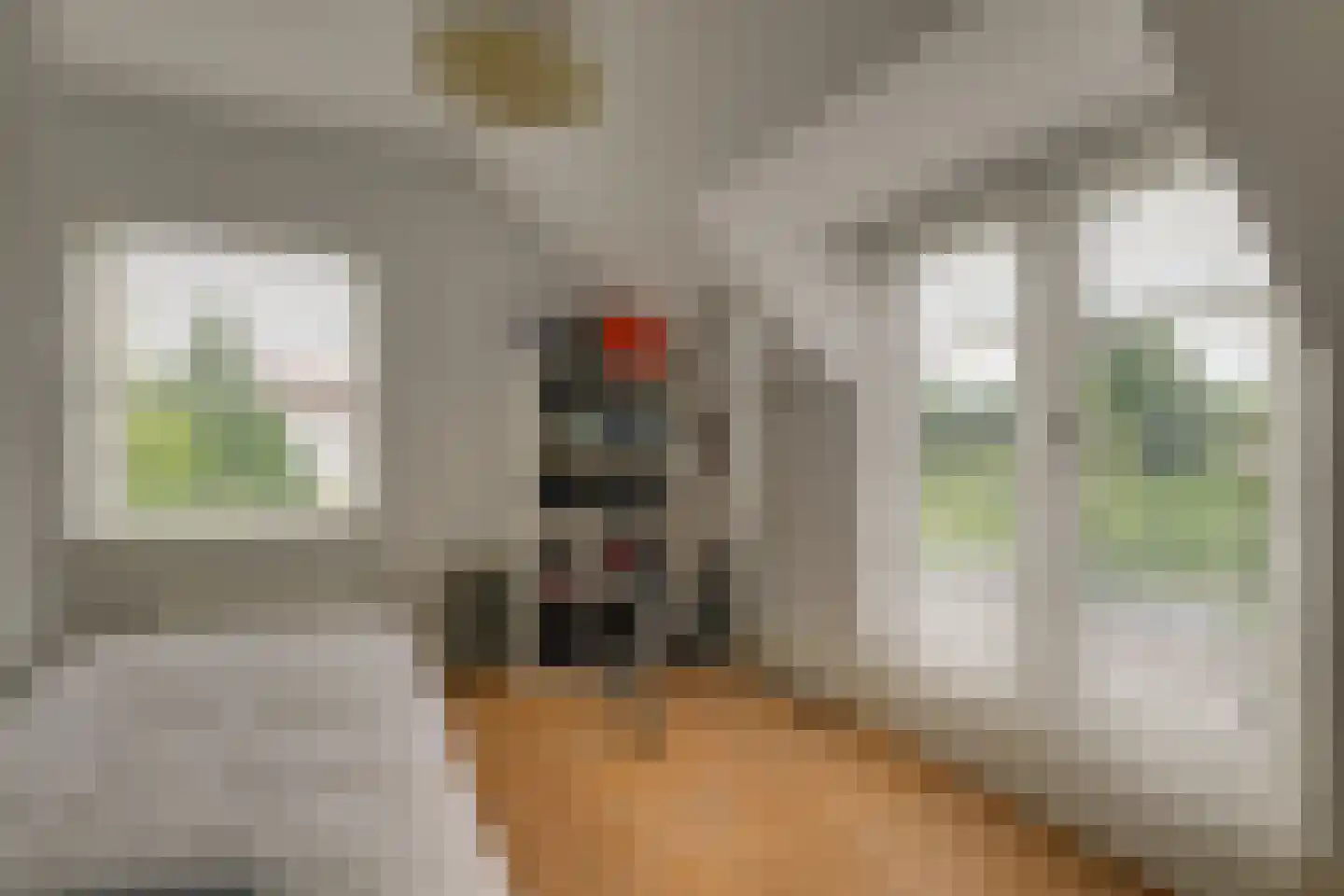 Oude Rhijnhofweg 8 Oegstgeest thumbnail 75