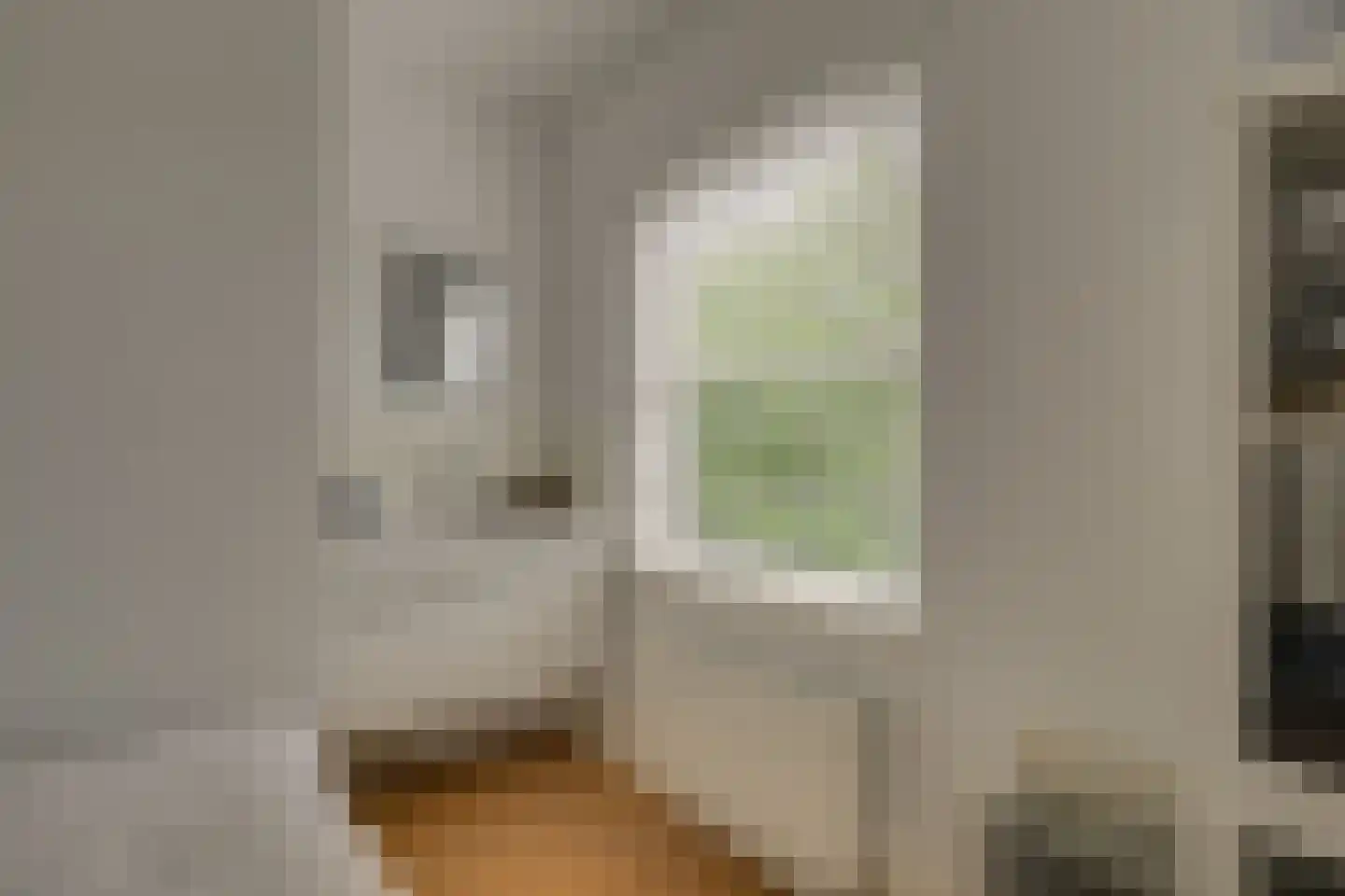 Oude Rhijnhofweg 8 Oegstgeest thumbnail 76