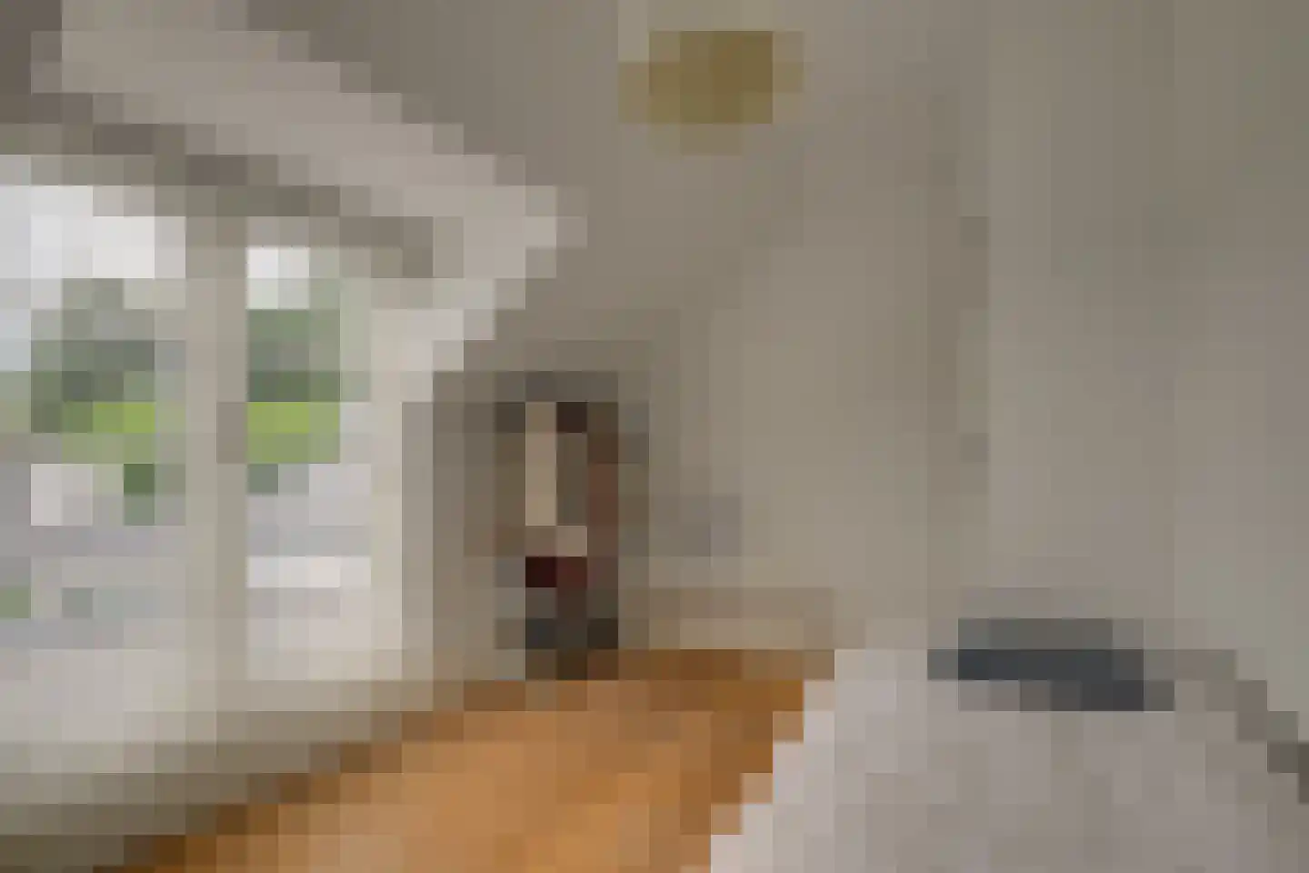 Oude Rhijnhofweg 8 Oegstgeest thumbnail 77