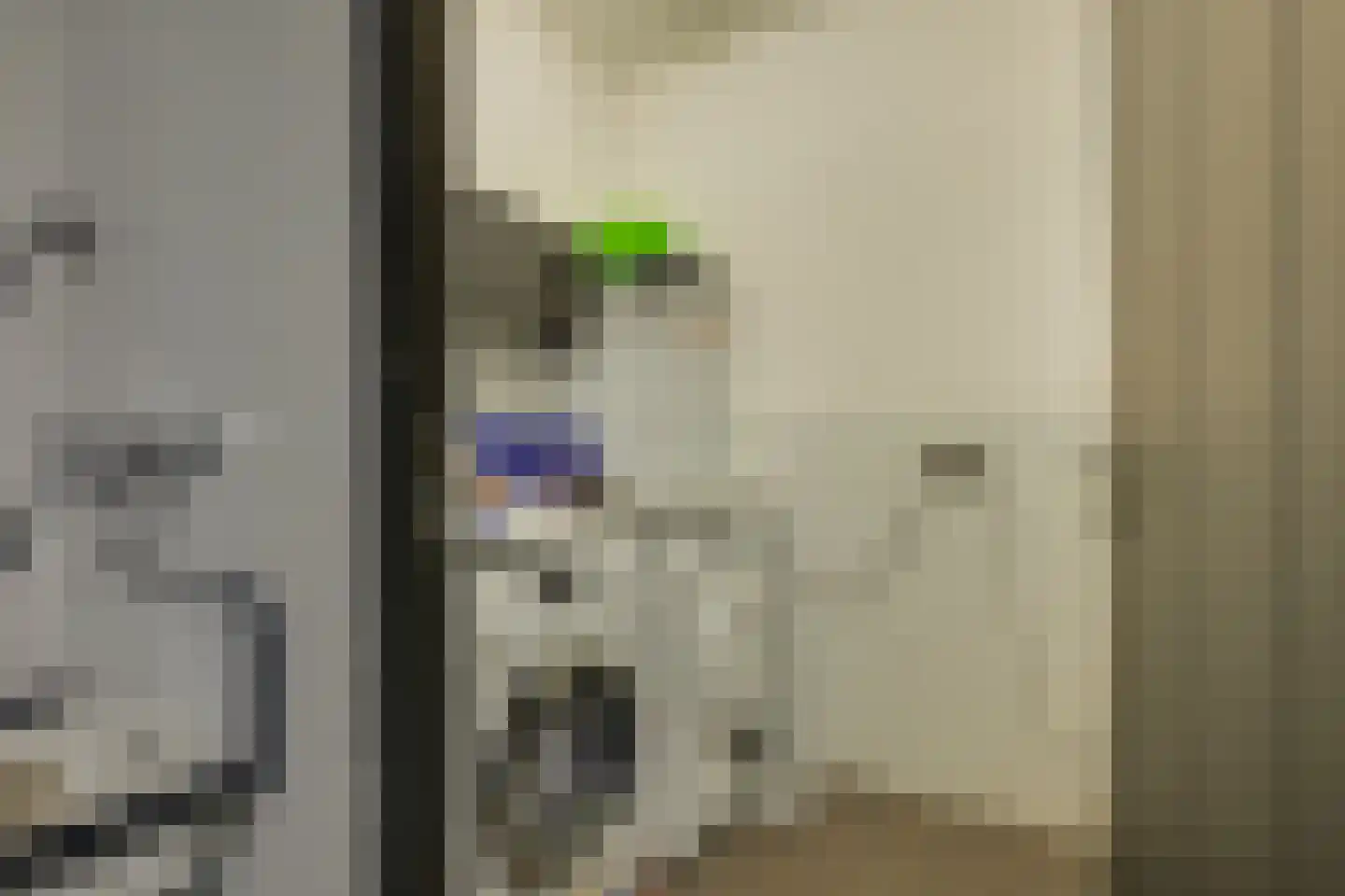 Oude Rhijnhofweg 8 Oegstgeest thumbnail 81