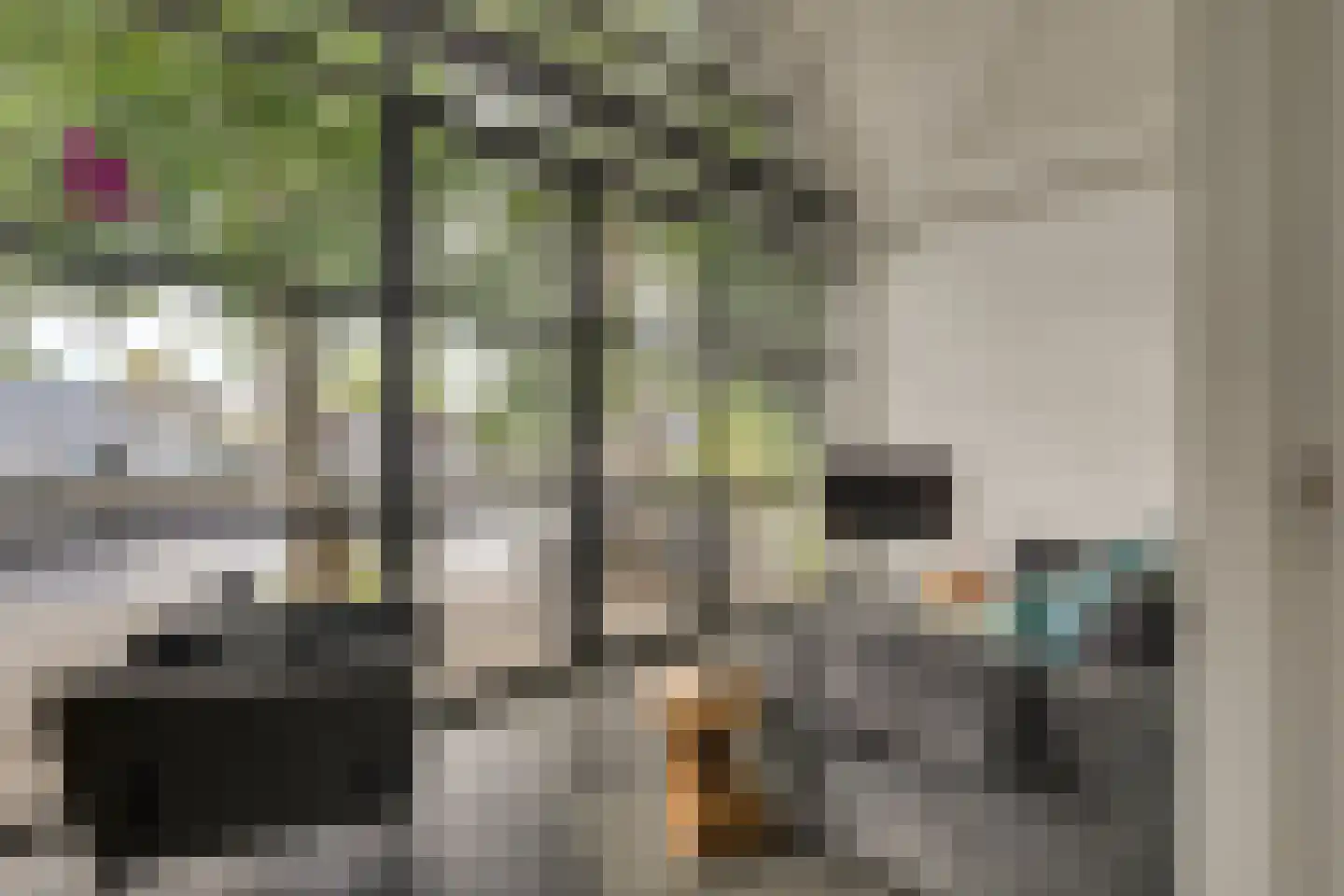 Oude Rhijnhofweg 8 Oegstgeest thumbnail 84