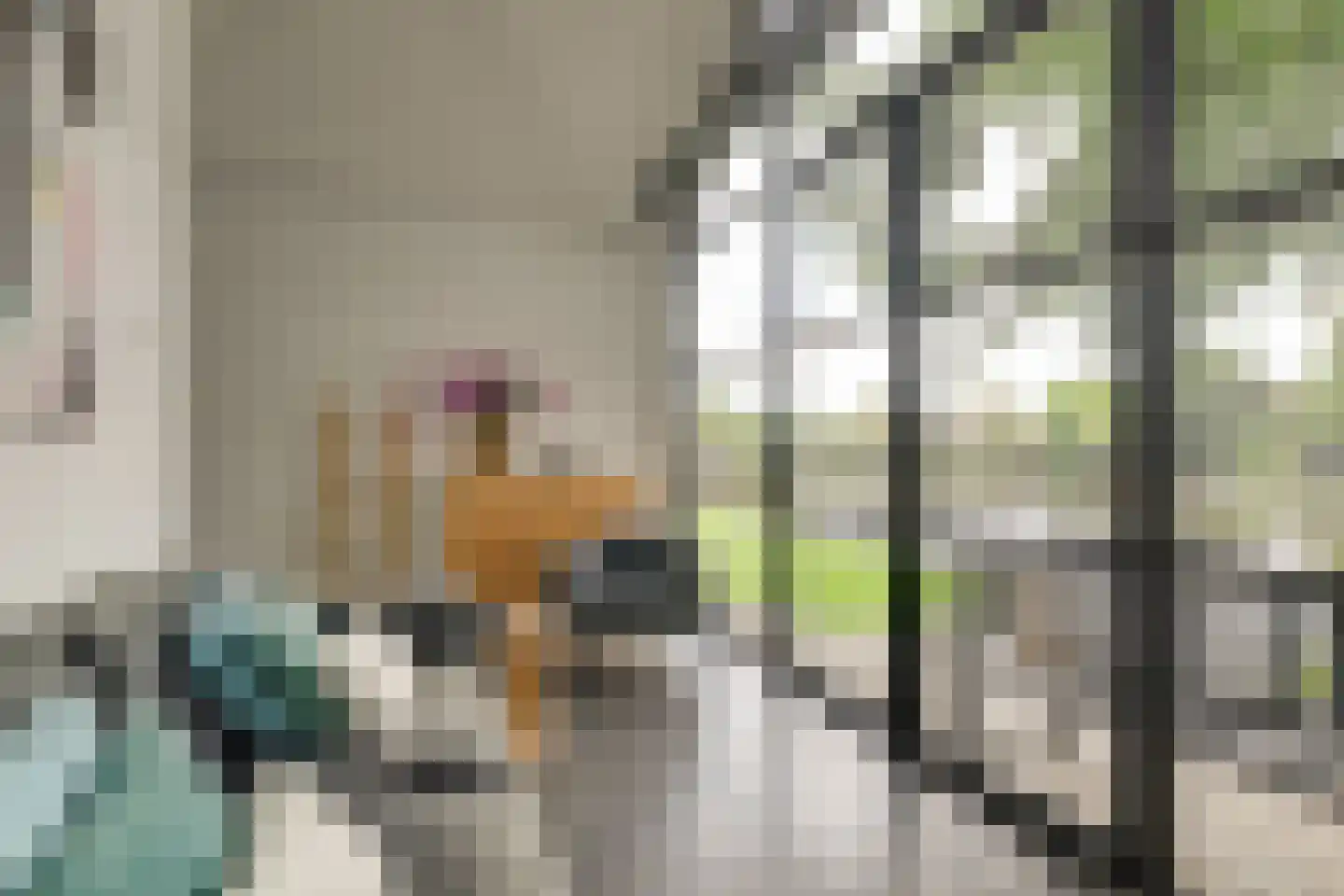 Oude Rhijnhofweg 8 Oegstgeest thumbnail 89