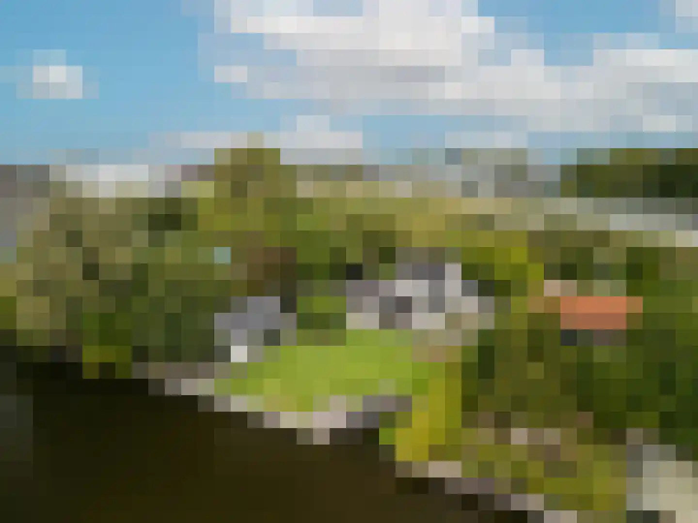 Oude Rhijnhofweg 8 Oegstgeest thumbnail 91